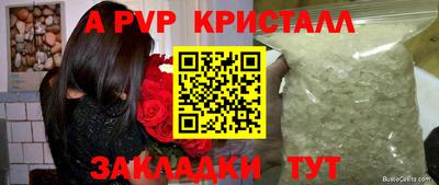 стафф Заводоуковск