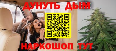 стафф Заводоуковск