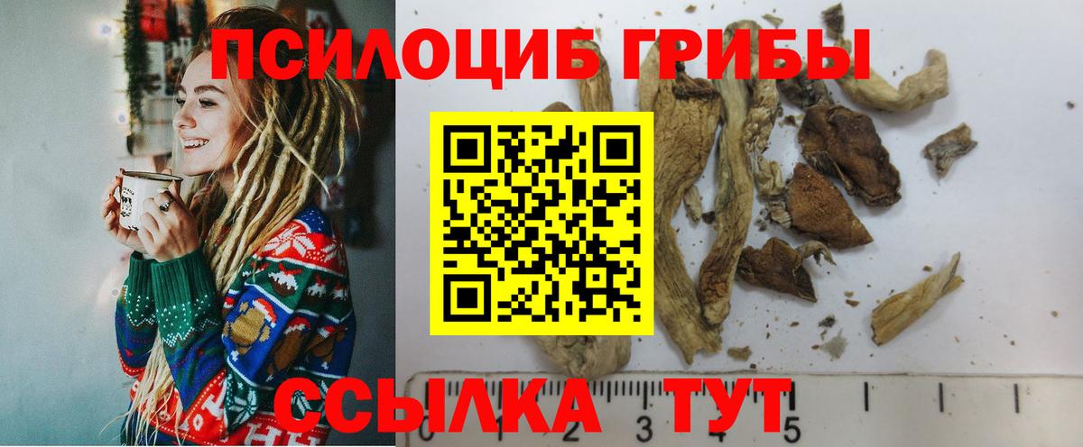 Галлюциногенные грибы MAGIC MUSHROOMS Нефтекамск